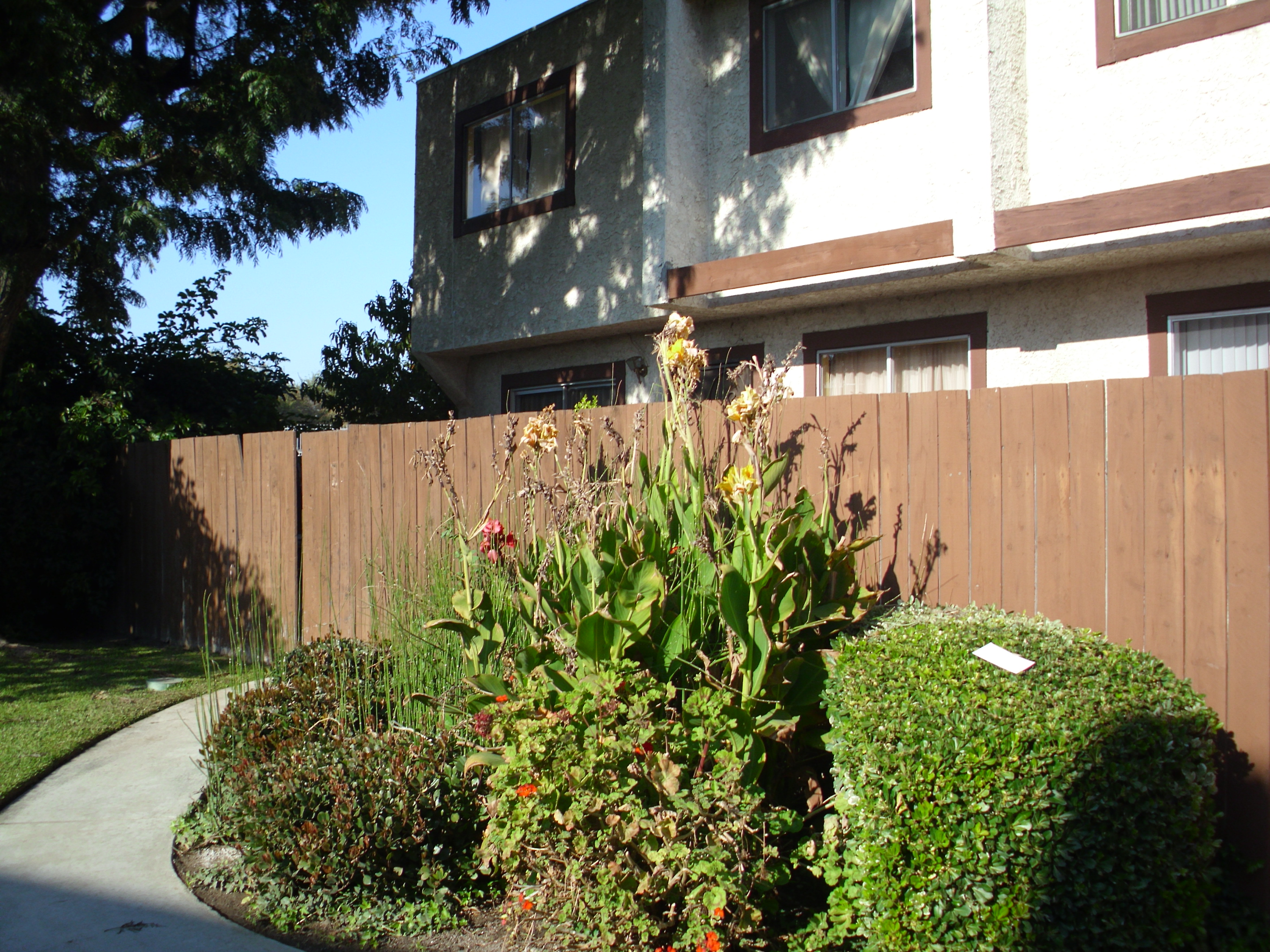 dsci0204.jpg